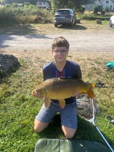 Mirror Carp