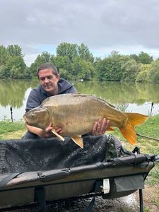 Mirror Carp