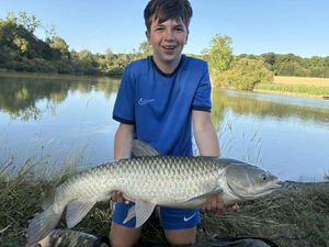 Grass Carp