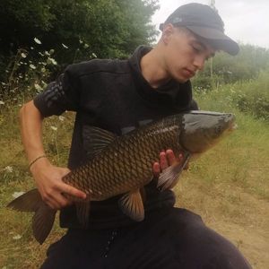 Grass Carp