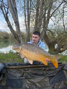 Leather Carp