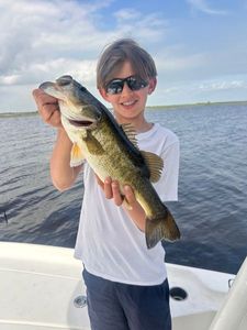 Largemouth Bass