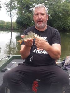 European Perch