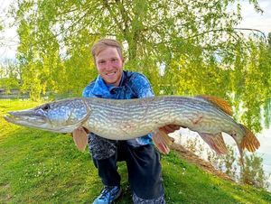 Northern Pike