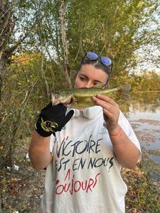 Smallmouth Bass