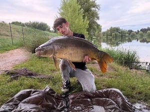 Mirror Carp