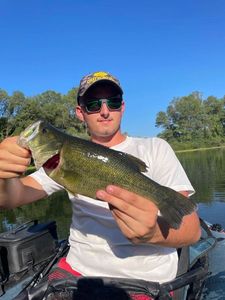Largemouth Bass