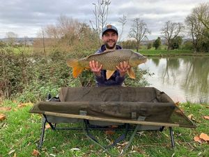 Common Carp