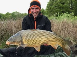 Common Carp