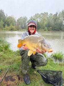 Mirror Carp