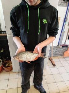 Roach
