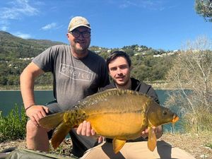 Mirror Carp