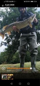 Northern Pike