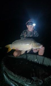 Mirror Carp