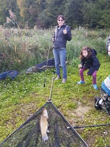 Tench