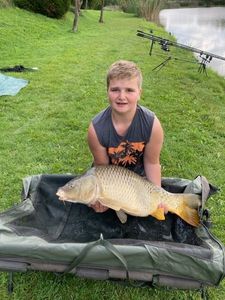 Common Carp