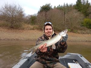 Northern Pike