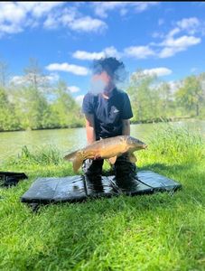 Mirror Carp