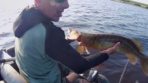 Northern Pike