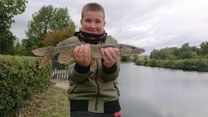 Northern Pike