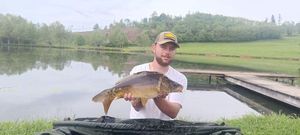 Mirror Carp