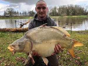 Mirror Carp
