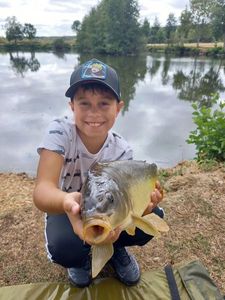 Mirror Carp