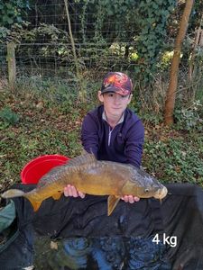 Mirror Carp