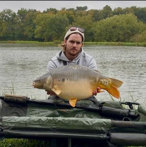 Mirror Carp