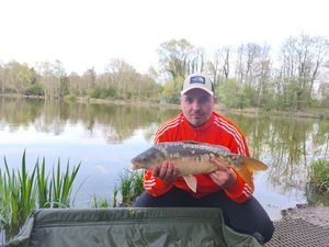 Mirror Carp
