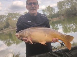 Mirror Carp