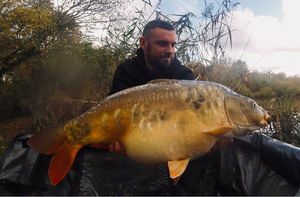 Mirror Carp