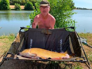 Common Carp
