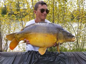 Mirror Carp