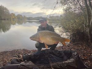 Common Carp
