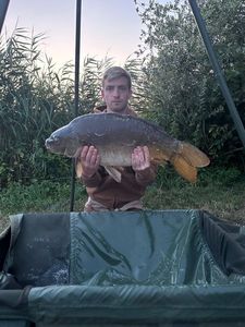 Mirror Carp