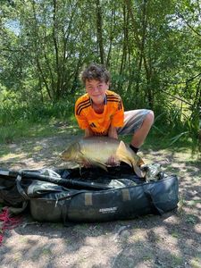 Mirror Carp