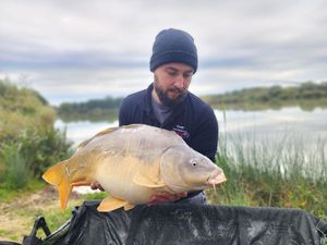 Mirror Carp