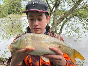 Mirror Carp