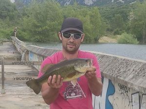 Largemouth Bass