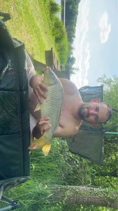 Common Carp