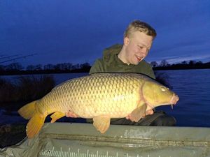Common Carp