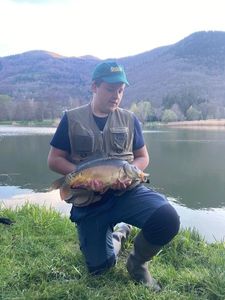 Mirror Carp