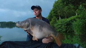 Mirror Carp