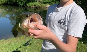 Smallmouth Bass