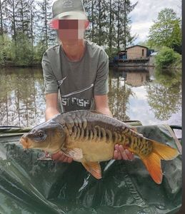 Mirror Carp
