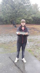 Rainbow Trout