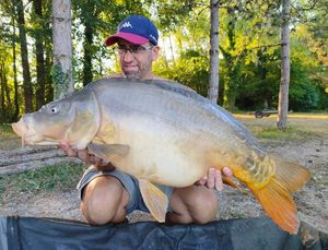 Mirror Carp