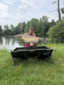Grass Carp