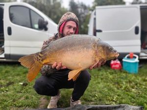 Mirror Carp